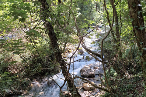 Pollino National Park: Trekking in the Argentino Nature Reserve
