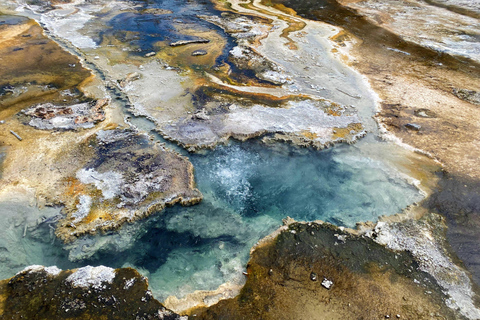 Von Auckland aus: Waitomo-Höhle und Orakei Korako Gruppentagestour