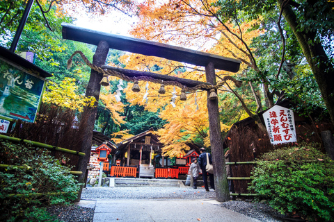 Osaka/Kyoto: Nara, Arashiyama, Fushimi Inari Taisha Day Tour Kyoto & Nara Day Tour | 8:00 AM from Osaka