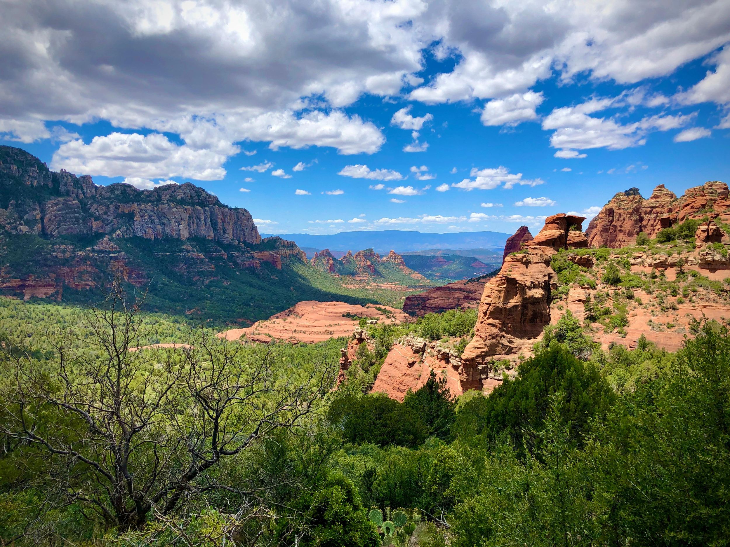 Ab Phoenix: Kleingruppen-Tour nach Sedona mit Montezuma Castle