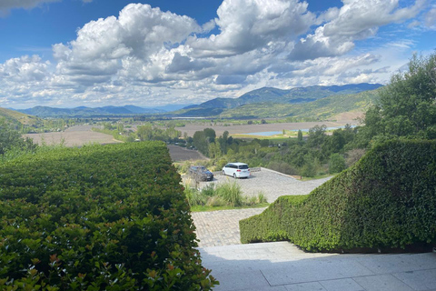 Viña Haras de Pirque Wine Experience