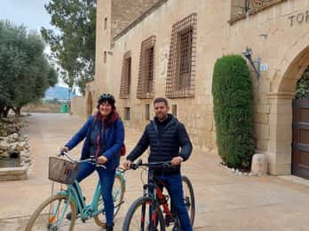 Alicante: Private Bicycle Tour of the Beach and History