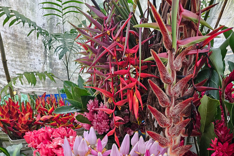 Botanical experience in Argovia: Flowers, Trail, and Tasting Botanical Experience in Argovia: Flowers, Trail, and Tasting