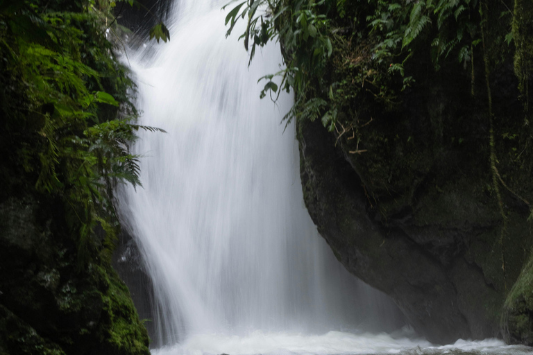 Mindo: Excursión clásica de expedición de un día