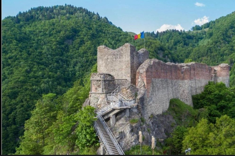 PREMIUM TOUR: Bears Safari on Transfagarasan Road