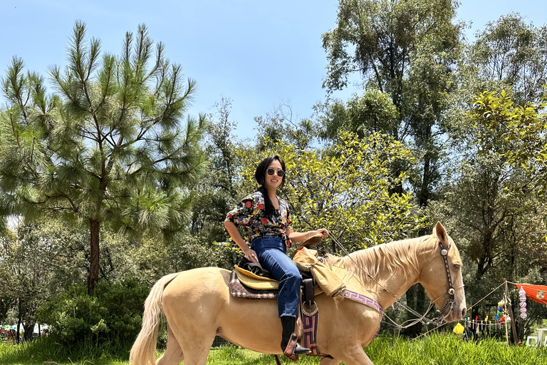 LA MEILLEURE ÉQUITATION AVEC DES COW-BOYS PROFESSIONNELS