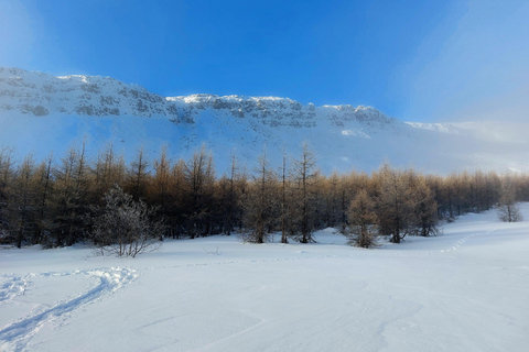 Akureyri: Snowshoeing with The Traveling Viking