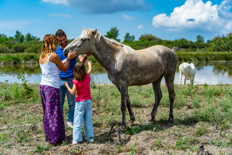 Camargue: Electric Safari with Guide in a private reserve