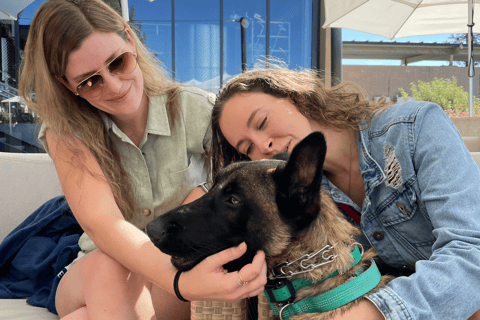 Napa: Guided Wine Tasting Tour with Picnic Lunch Private Tour