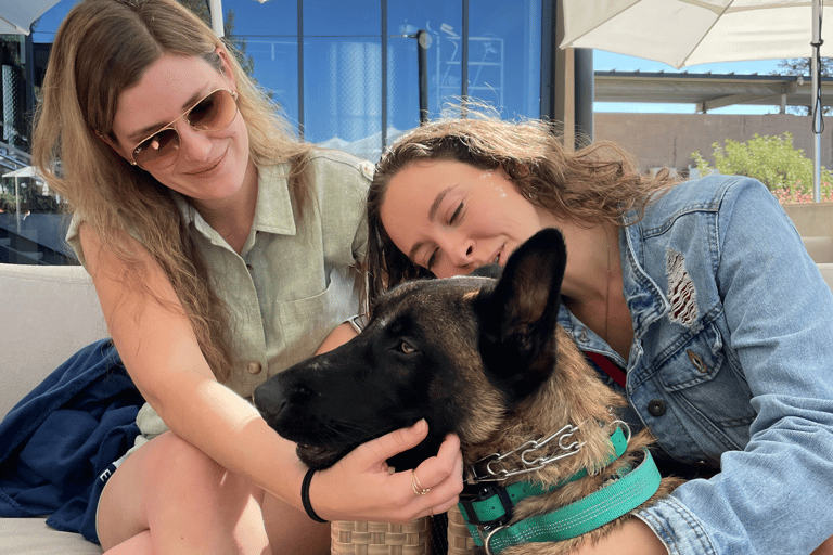 Napa: Guided Wine Tasting Tour with Picnic Lunch Private Tour