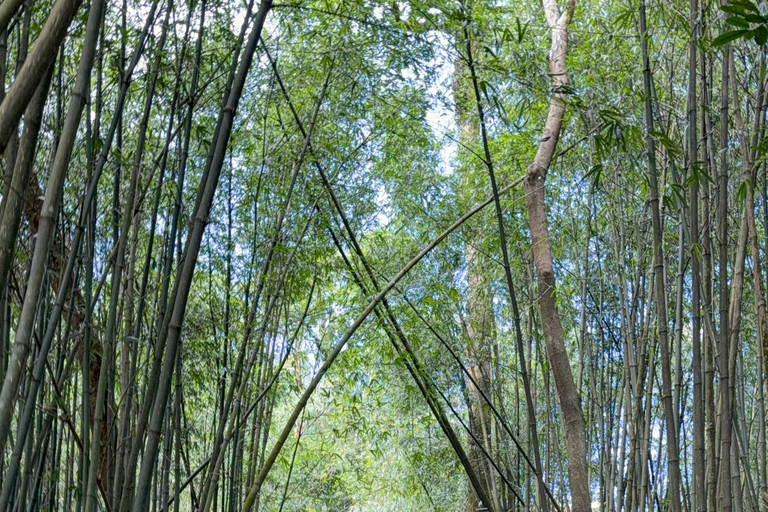 Tam Dao Private Day Tour With Misty Mountains, Cloud Views