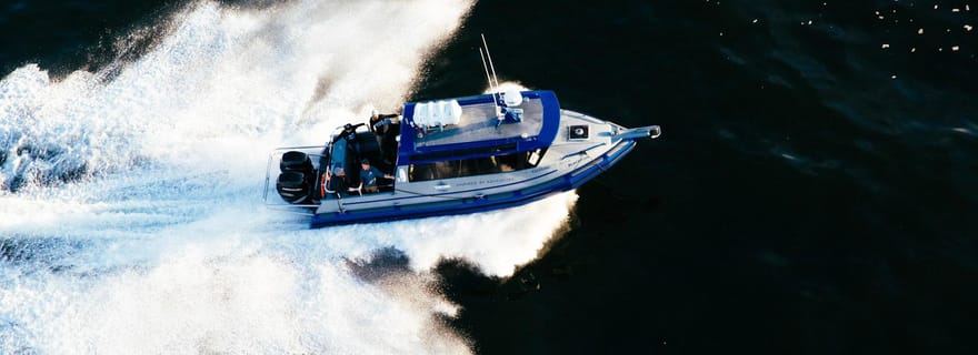 Tofino : excursion hivernale en bateau couvert pour observer la faune sauvage