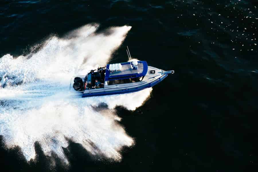 Tofino: Überdachte Bootstour zur Wildtierbeobachtung im Winter. Foto: GetYourGuide