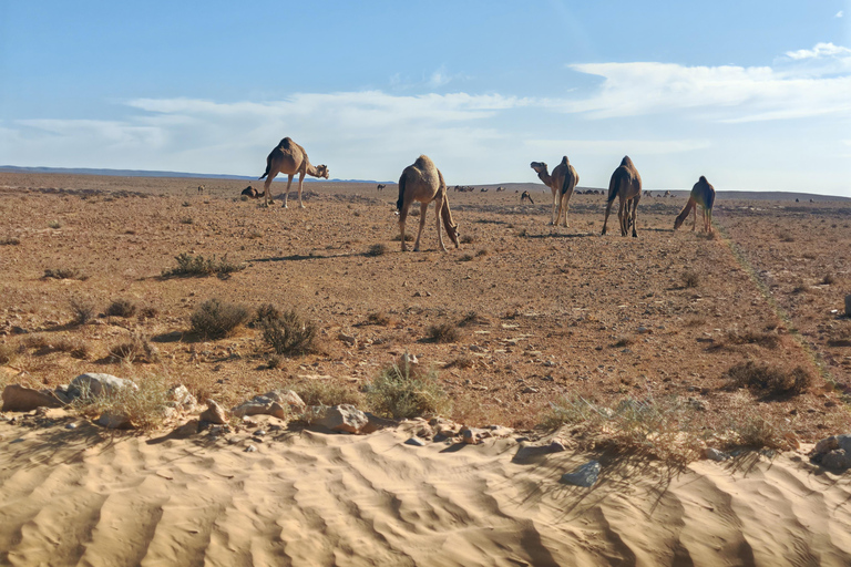 Djerba: Eine Nacht in Berberzelten.