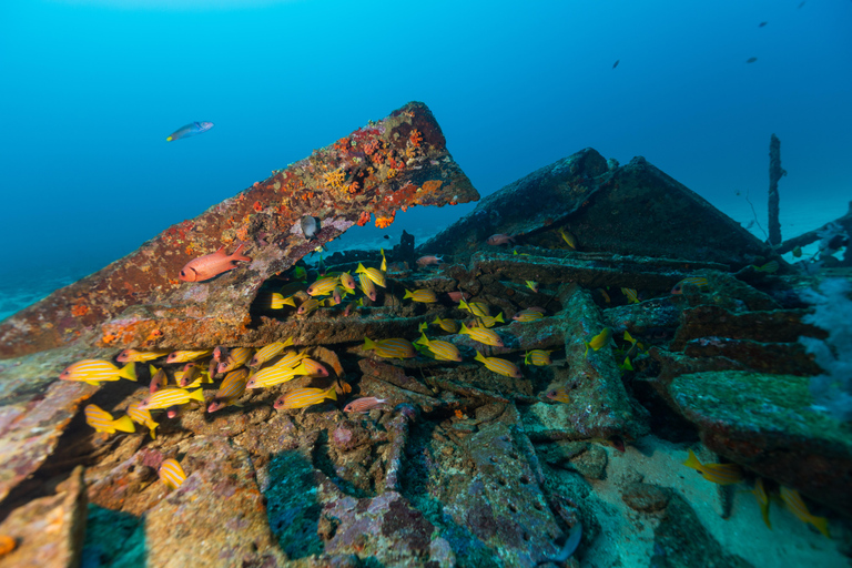 Colombo: Shipwreck Diving Experience within the city