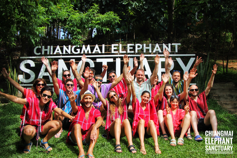 Exclusive experience half day with family giant animals