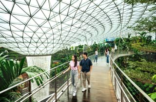 Singapur: Eintrittskarte für den Baumwipfel-Park im Jewel Changi Airport