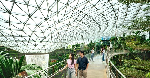 Singapore: Jewel Changi Airport Canopy Park Entry Ticket