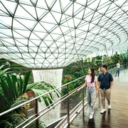 Singapore: Jewel Changi Airport Canopy Park Entry Ticket