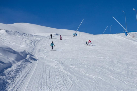 From Tbilisi: Magical Borjomi & Bakuriani with Toboggan Ride