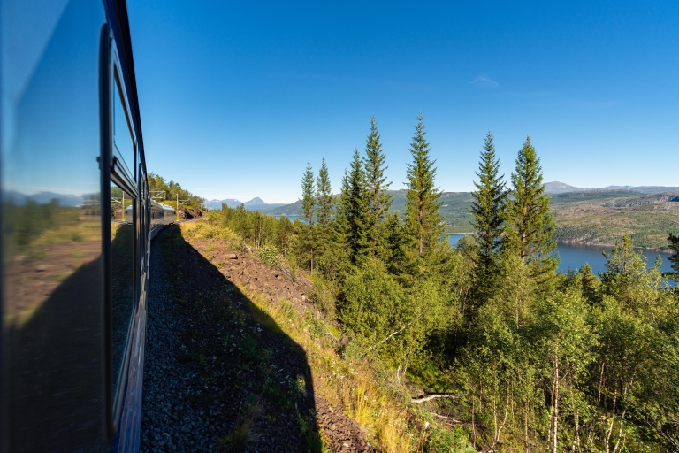Z Narwiku: Przejażdżka arktycznym pociągiem Ofoten Railway w obie stronyZ Narwiku: przejażdżka arktycznym pociągiem w obie strony koleją Ofoten