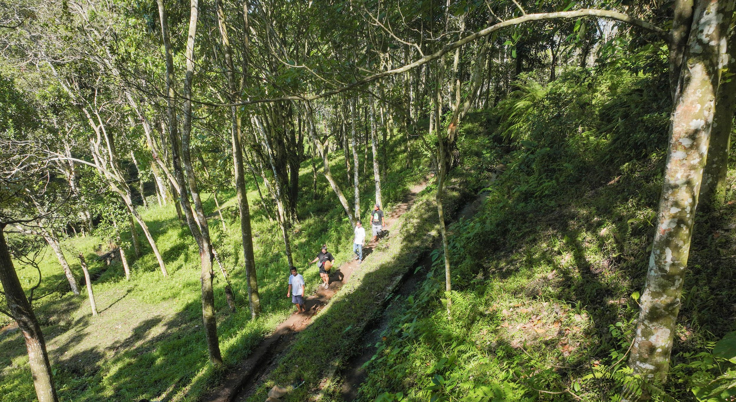 Lombok: Tetebatu-Wanderung, Wasserfall, Affenwald & Kochen