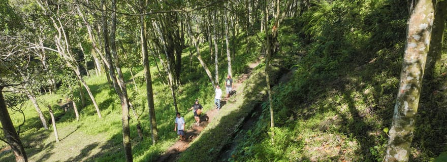 Lombok : promenade à Tetebatu, cascade, forêt des singes et cours de cuisine