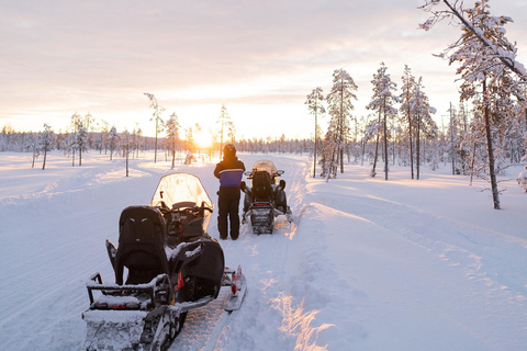 Levi: Besök på husky- och renfarm med snöskoteråkning