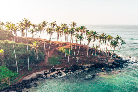 Sri Lanka Mirissa : Tour di un giorno per l&#039;osservazione delle balene blu