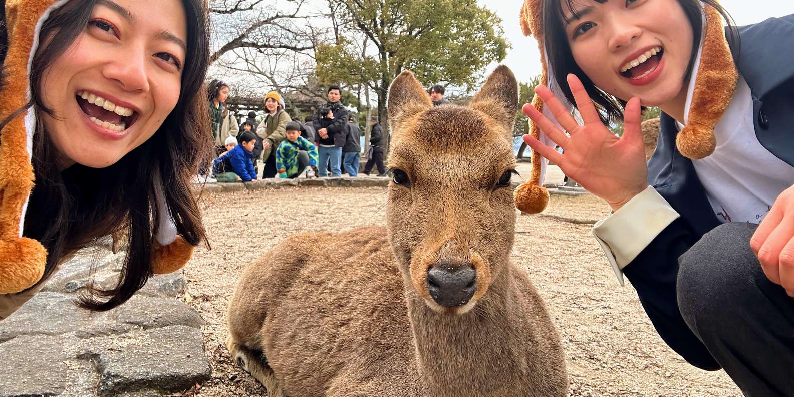 Hiroshima Miyajima tour — Peace Memorial and Miyajima Island — image 24