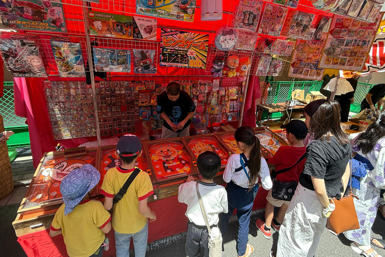 Tokyo: Customizable, Enjoyable and Memorable Private Tour