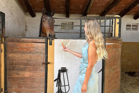 Norway-Gålå: Horseback Riding Tour with Refreshments