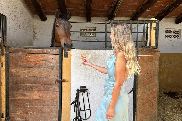 Norway-Gålå: Horseback Riding Tour with Refreshments