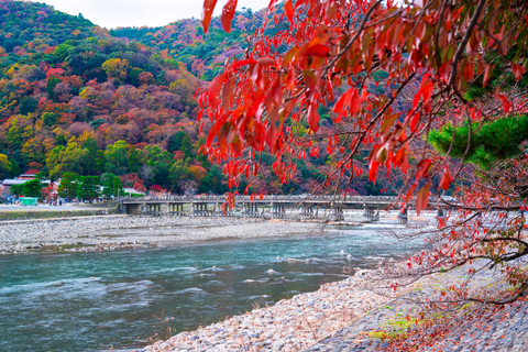 Osaka/Kyoto: Katsuoji & Arashiyama & Kinkakuji Day Tour 9:00 AM Depart from Kyoto