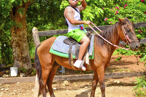 Ontdek de paden van Punta Cana tijdens een rit te paard