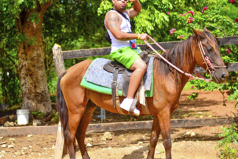 Ontdek de paden van Punta Cana tijdens een rit te paard