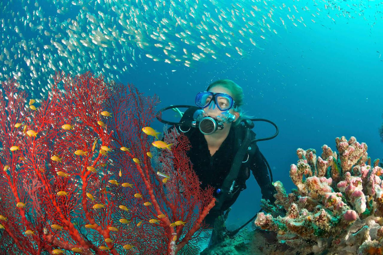 Aqaba: Private Boat Tour with Snorkeling and Lunch