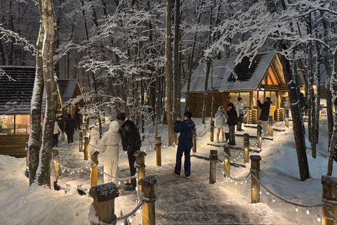 From Sapporo: Snow Fun, Shirahige Falls & Ningle Terrace
