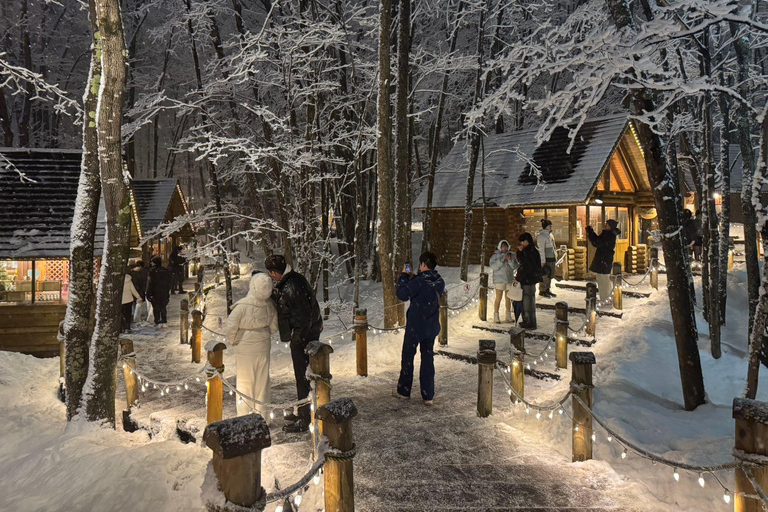 From Sapporo: Snow Fun, Shirahige Falls & Ningle Terrace
