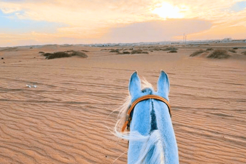 Qatar: Arabic Horse Riding in the Desert Sharing Tour