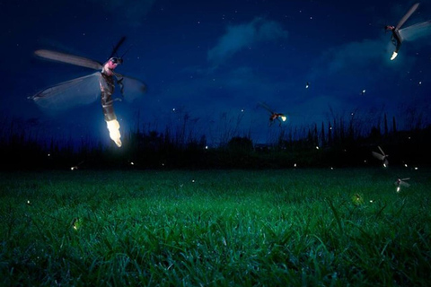 Bangkok to DuBua Café & Amphawa Private Day Trip