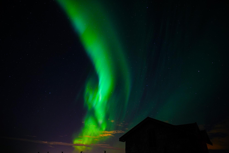 Da Reykjavík: tour in minibus a caccia dell&#039;aurora borealeTour per piccoli gruppi dell&#039;aurora boreale con foto e cacao caldo