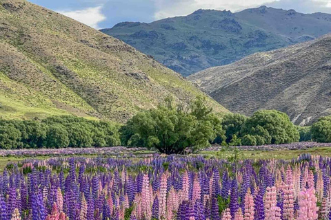 Queenstown to Mt Cook guided overnight tour