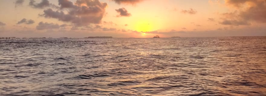 Maldives : croisière au coucher du soleil avec observation des dauphins
