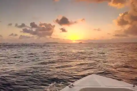 Maldives: Sunset Cruise with Dolphin Watching