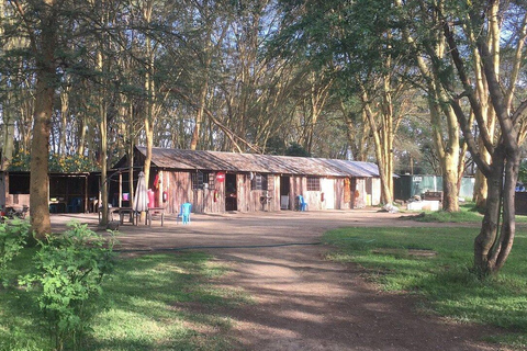 From Nairobi: Naivasha Wellness Retreat with Nature Walks