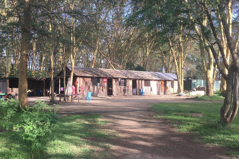 From Nairobi: Naivasha Wellness Retreat with Nature Walks