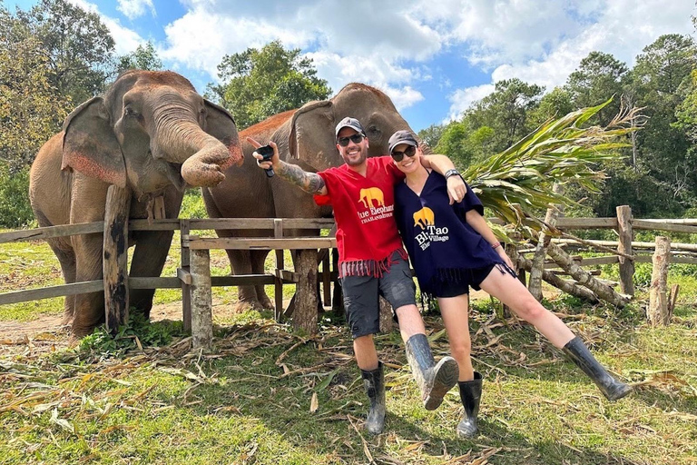 Chiang Mai : Sanctuaire d'éléphants éthiques et aventure en VTT2 heures de VTT et visite du sanctuaire avec déjeuner et transfert