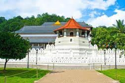 Ambuluwawa Tower & Pinnawala & Kandy Day Tour From Negombo By Private AC Standard Mini Car-Suzuki Specia or Similar Car