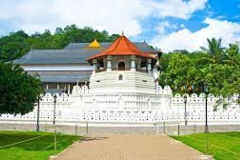 Ambuluwawa Tower & Pinnawala & Kandy Day Tour From Negombo By Private AC Standard Mini Car-Suzuki Specia or Similar Car